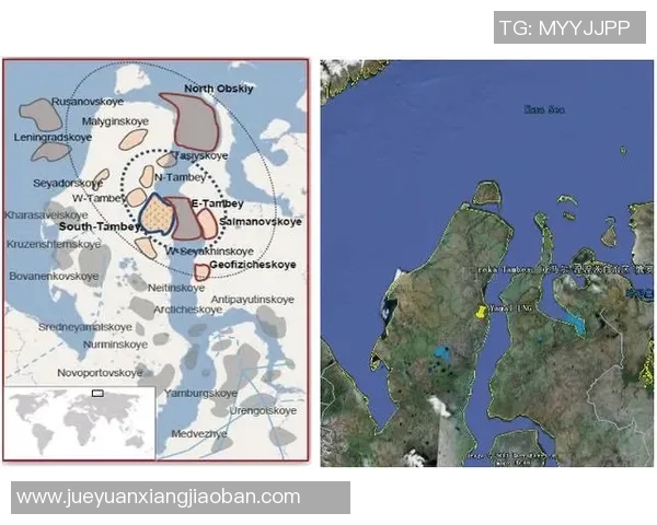 亚马尔地区的能源战略与全球市场的互动分析